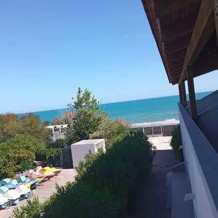 Alga Blu Sul Mare *