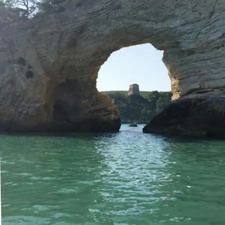 Bed and breakfast Alga Blu Sul Mare Vieste